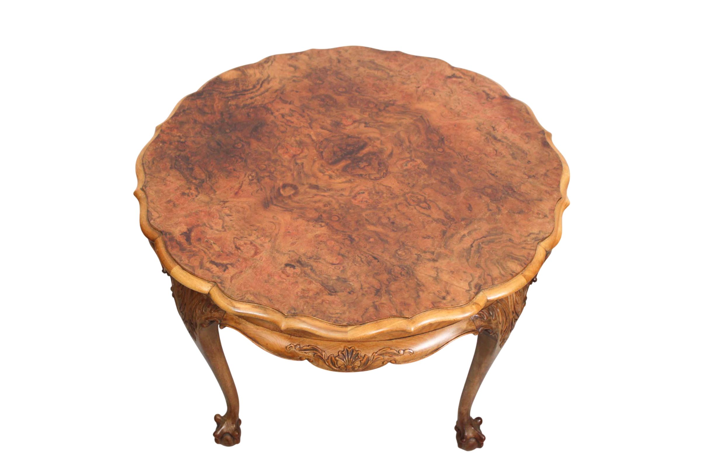 Large coffee table in Baroque style, mid century, with claw foot legs, burl wood scalloped top.