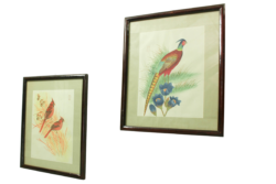 Antique asian painting on rice paper in high quality wood frames, 1920s